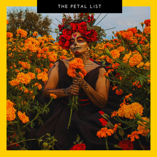 Blooms & Glooms: Spooky Flower Ideas for Halloween