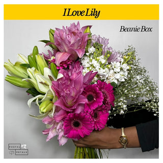 I Love Lily