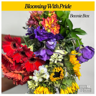 Send a Beanie Box Subscription – DIY Floral Arranging