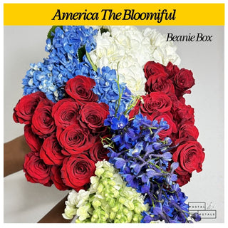 Send a Beanie Box Subscription – DIY Floral Arranging