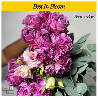 Best In Bloom