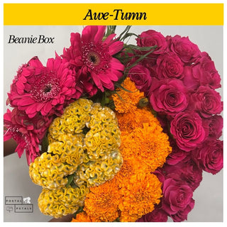 Awe-Tumn