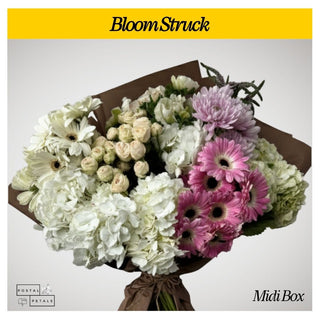 Bloom Struck