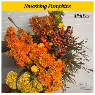 Gift the Midi Bloom Box Subscription – A Floral Experience