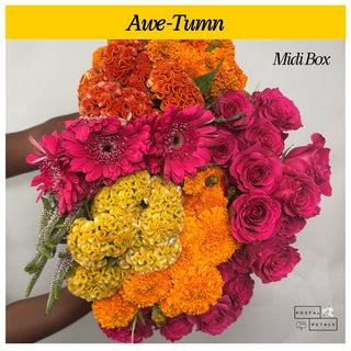 Awe-Tumn
