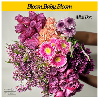 Gift the Midi Bloom Box Subscription – A Floral Experience