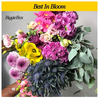 Best In Bloom