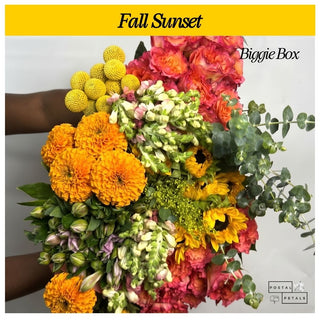 Fall Sunset