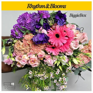 Send a Biggie Box Subscription – Perfect Gift for Floral Enthusiasts