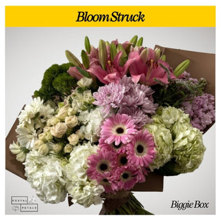Bloom Struck