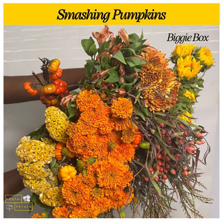 Smashing Pumpkins