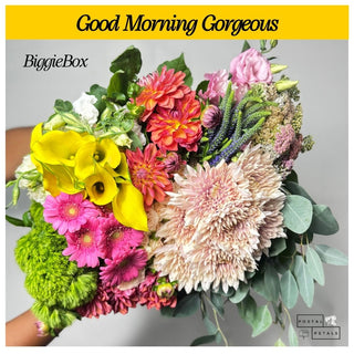 Good Morning Gorgeous