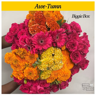 Awe-Tumn