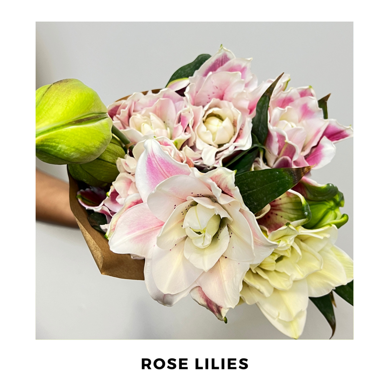 Rose Lilies