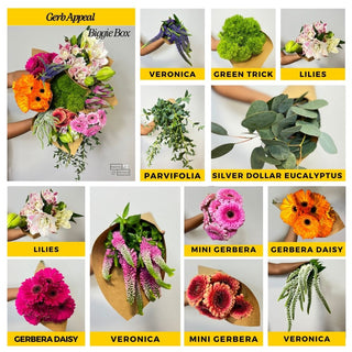 Send a Beanie Box Subscription – DIY Floral Arranging