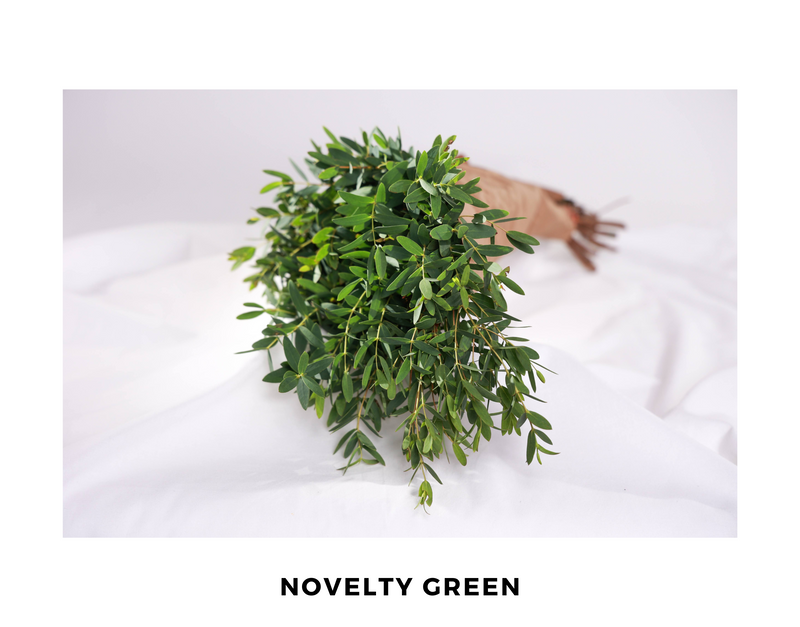 Novelty Green