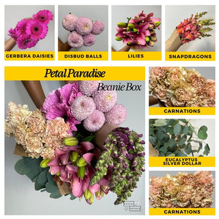 Send a Beanie Box Subscription – DIY Floral Arranging