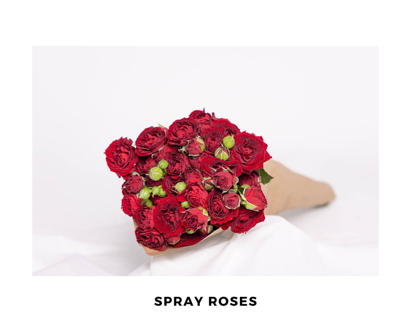 Red Sensation Spray Rose