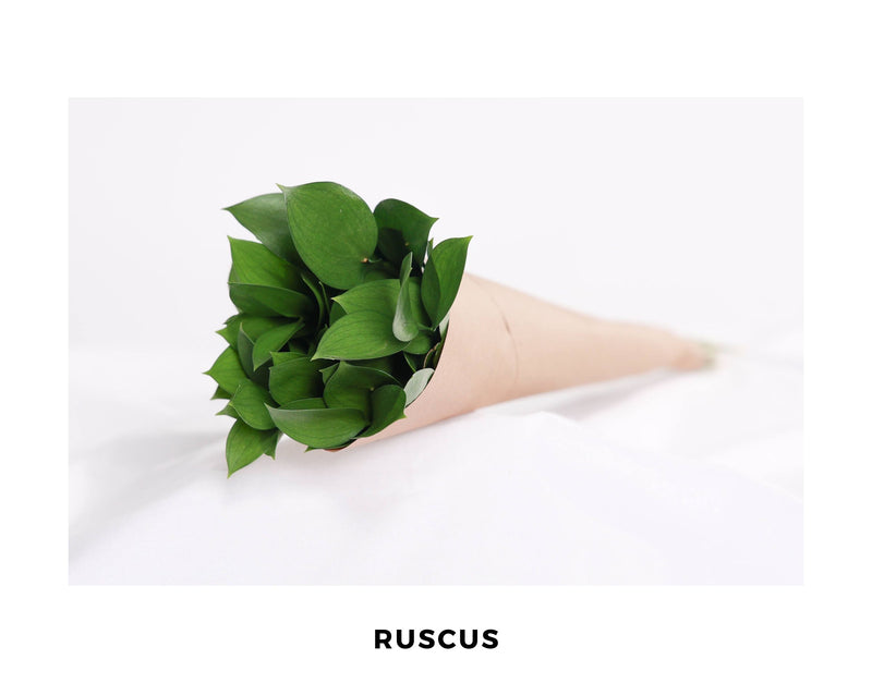 Ruscus