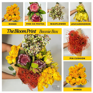 Send a Beanie Box Subscription – DIY Floral Arranging