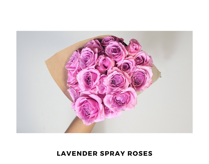 Lavender Spray Roses