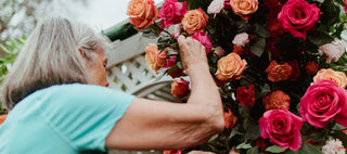 Elder picking orange roses