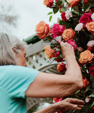 Elder arranging orange and pink roses