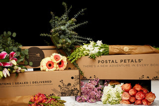 Petal Ranger DIY Bloom Box Subscription